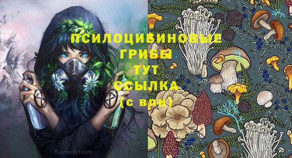 гашик Абдулино