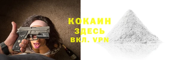 спайс Алексин