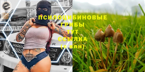 спайс Алексин