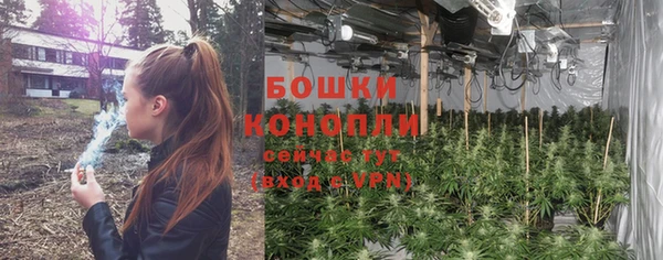 гашик Пересвет