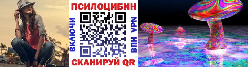 Галлюциногенные грибы Psilocybe  как найти наркотики  Мирный 