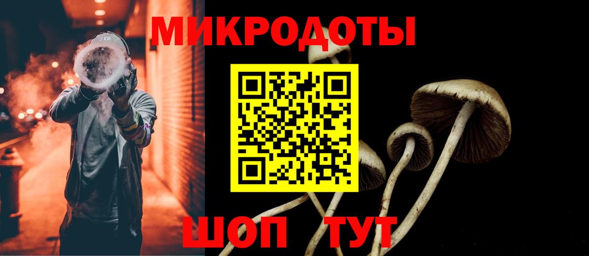 Мирный  Псилоцибиновые грибы MAGIC MUSHROOMS  Вход с VPN 